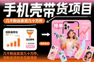 手機(jī)殼帶貨項(xiàng)目,幾千粉絲賣貨幾十萬(wàn)件,短視頻低粉賣貨的天花板項(xiàng)目